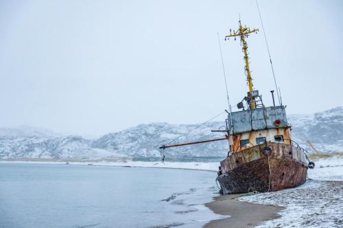 alexey-elfimov- BPNxHTwoMM-unsplash