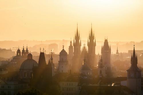 denis-poltoradnev-Jq1zrutUFP4-unsplash (1) (1) (1)